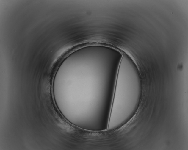 X0000090431115200707131002