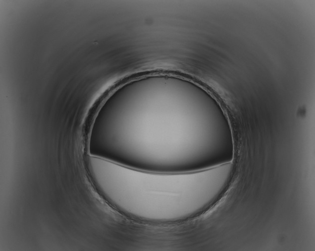 X0000090431118200707131002