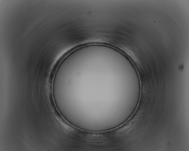 X0000090431119200707131002