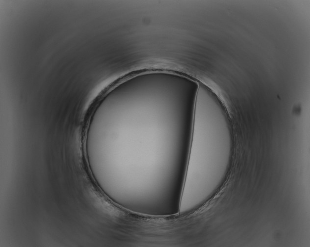 X0000090431120200707131002