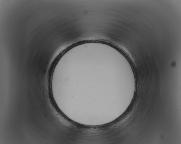 X0000090431122200707131002