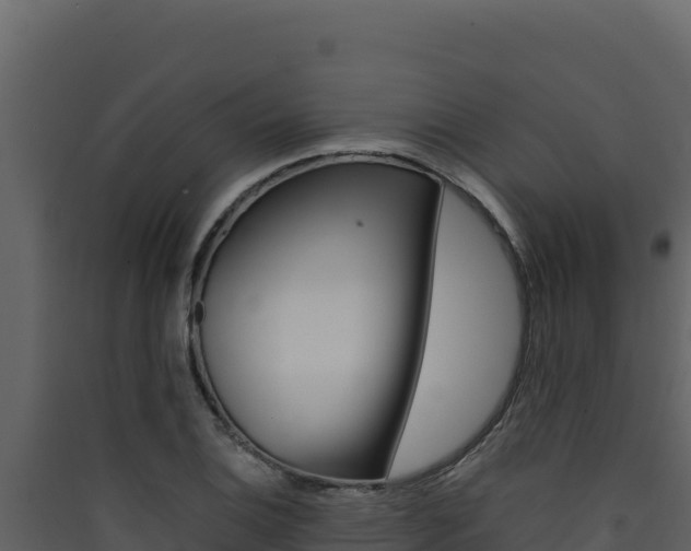 X0000090431124200707131002