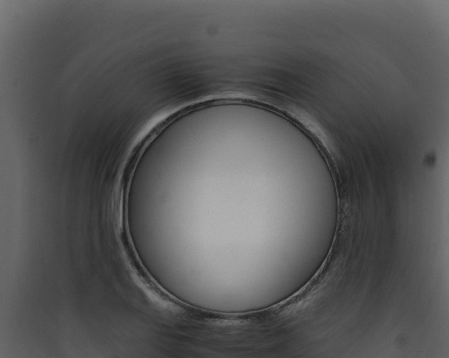 X0000090431127200707131002