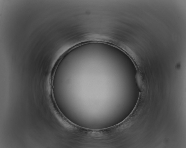 X0000090431128200707131002