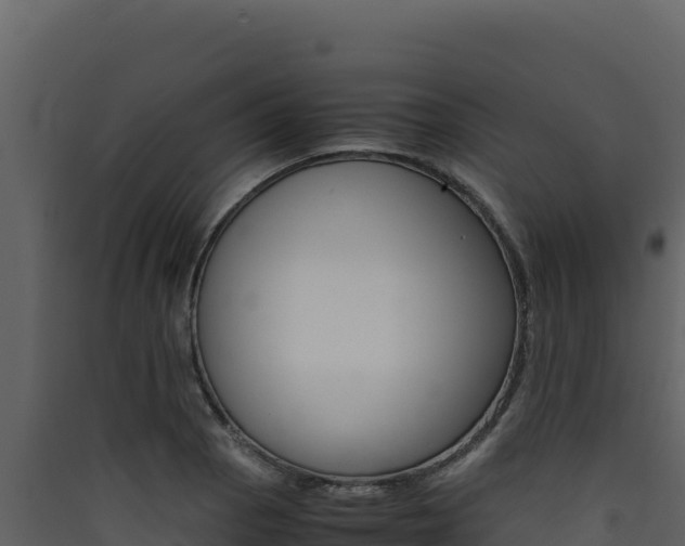 X0000090431129200707131002