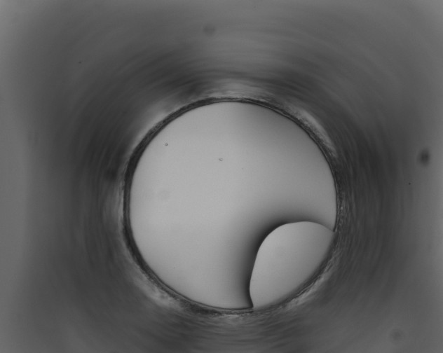 X0000090431130200707131002