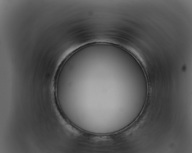 X0000090431133200707131002