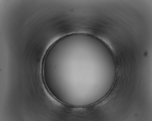 X0000090431135200707131002