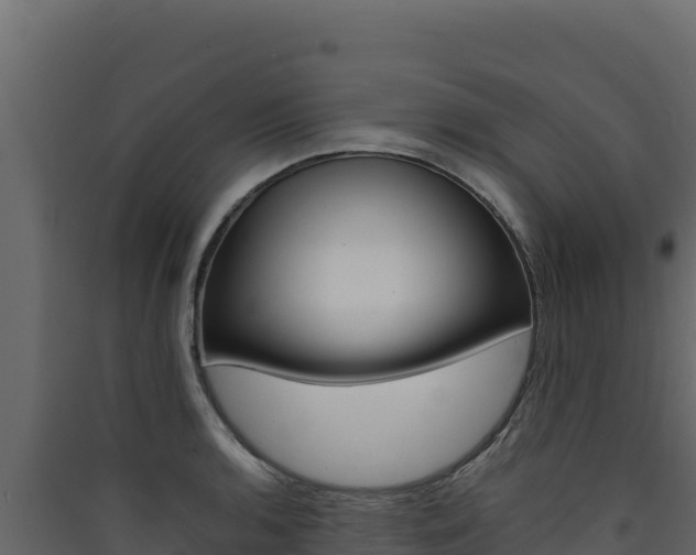 X0000090431136200707131002