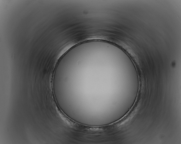 X0000090431137200707131002
