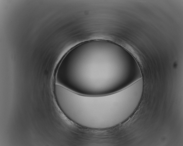 X0000090431140200707131002