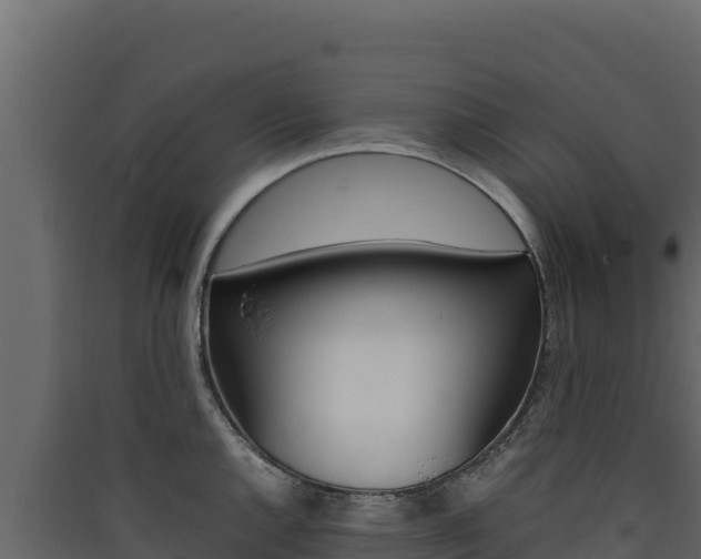 X0000090431144200707131002