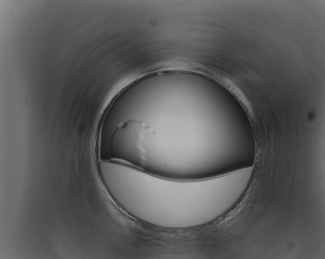 X0000090431146200707131002