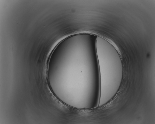 X0000090431148200707131002