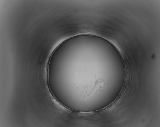 X0000090431151200707131002