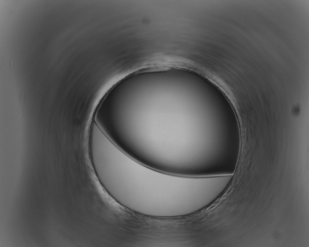 X0000090431152200707131002