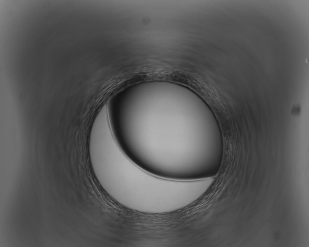 X0000090431153200707131002