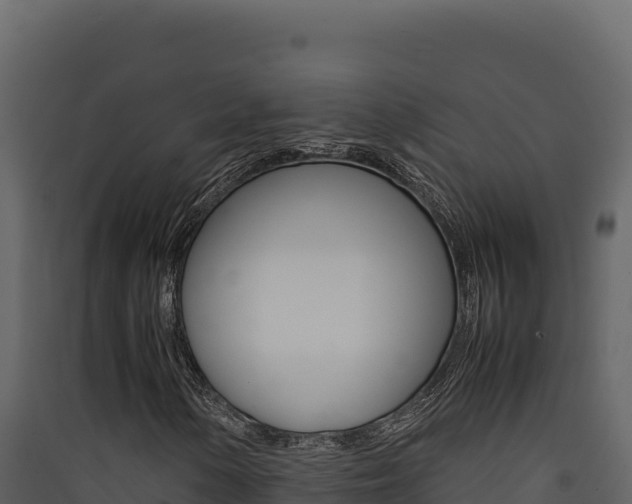 X0000090431154200707131002