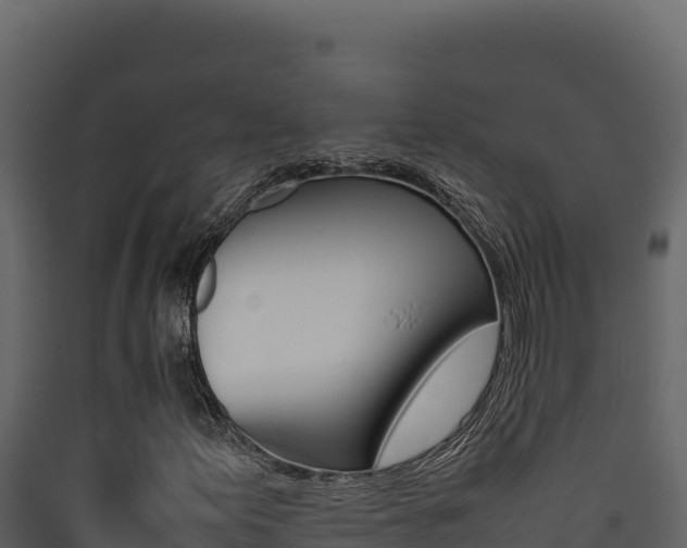 X0000090431155200707131002