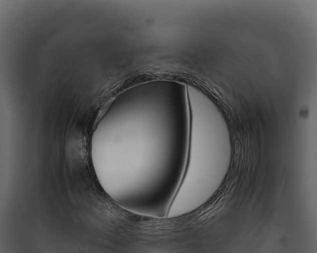 X0000090431156200707131002