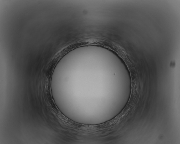 X0000090431158200707131002