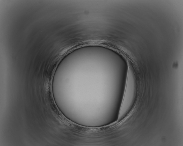X0000090431161200707131002