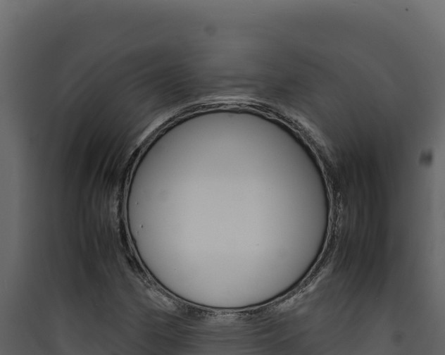 X0000090431162200707131002