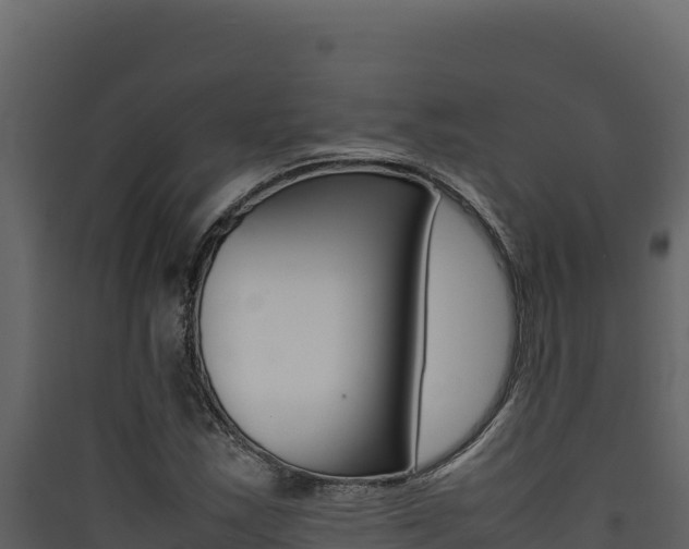 X0000090431163200707131002