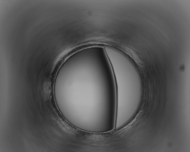 X0000090431164200707131002