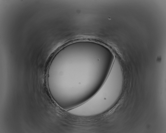 X0000090431165200707131002
