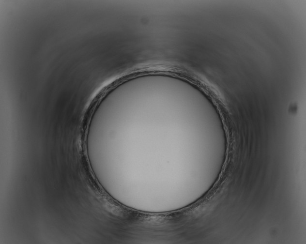 X0000090431166200707131002