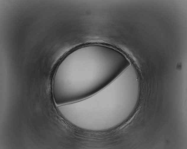 X0000090431167200707131002