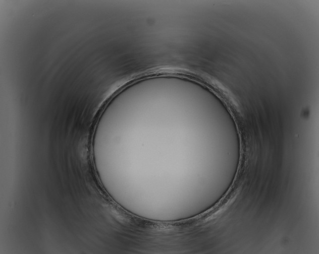 X0000090431170200707131002