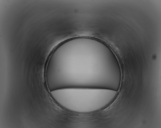 X0000090431174200707131002