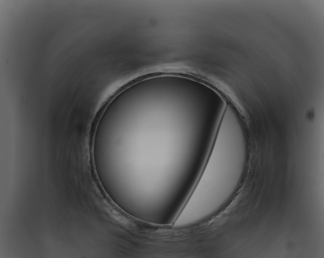 X0000090431176200707131002