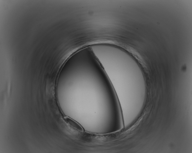 X0000090431177200707131002
