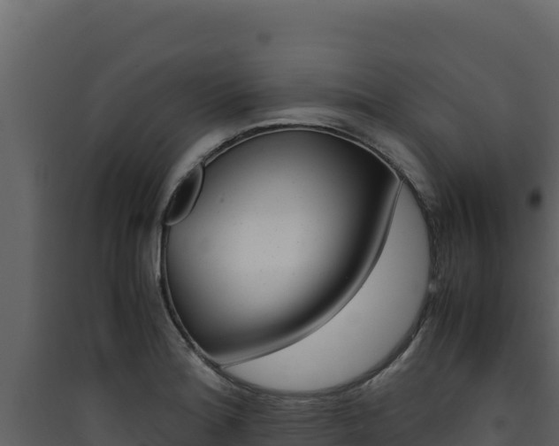 X0000090431180200707131002