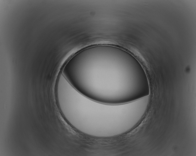 X0000090431181200707131002