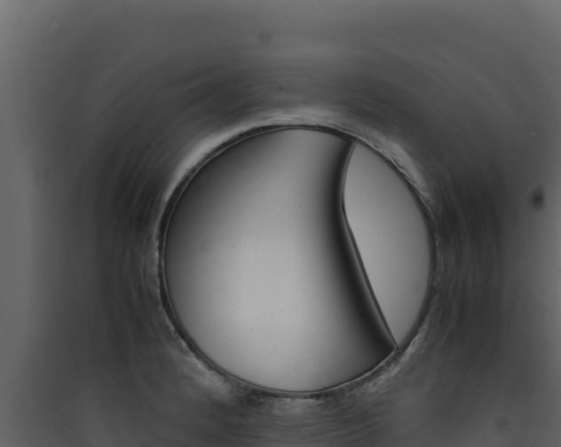 X0000090431184200707131001