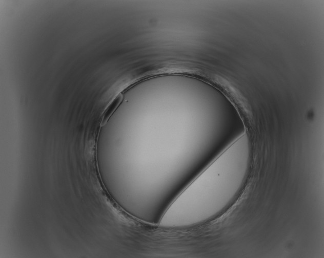 X0000090431185200707131001