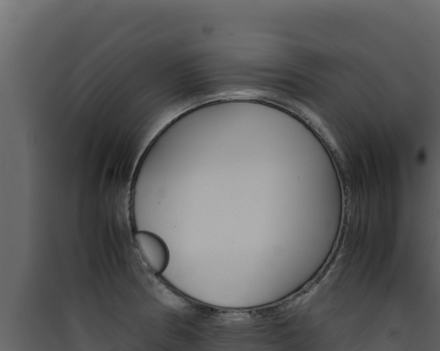 X0000090431186200707131001