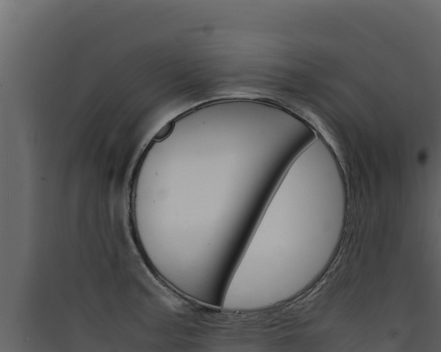 X0000090431187200707131001