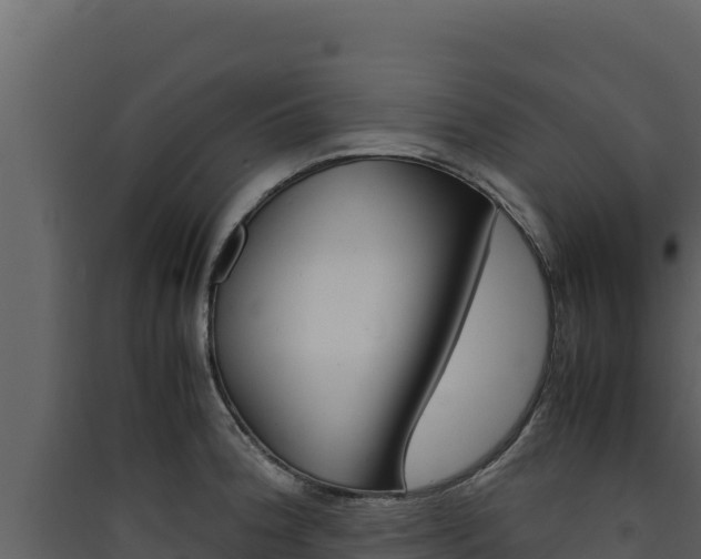 X0000090431188200707131001