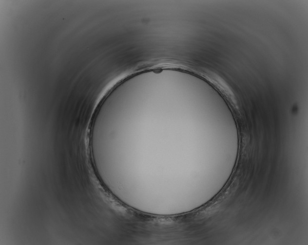 X0000090431190200707131001