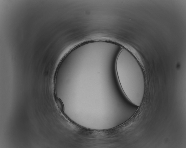 X0000090431191200707131001