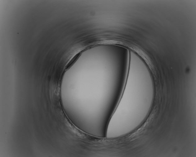 X0000090431193200707131001