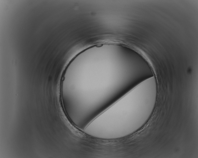 X0000090431195200707131001