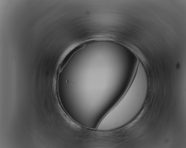 X0000090431196200707131001