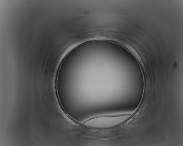X0000090431197200707131001