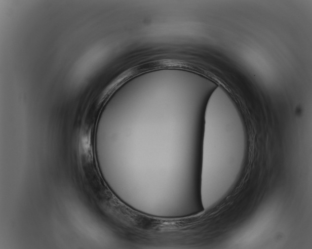 X0000090431198200707131001